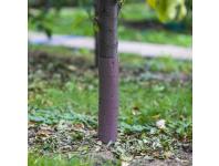 Zdjęcie: Osłonka do drzewek - spirala - fi3,5 x 60 cm, 2 szt BROWIN