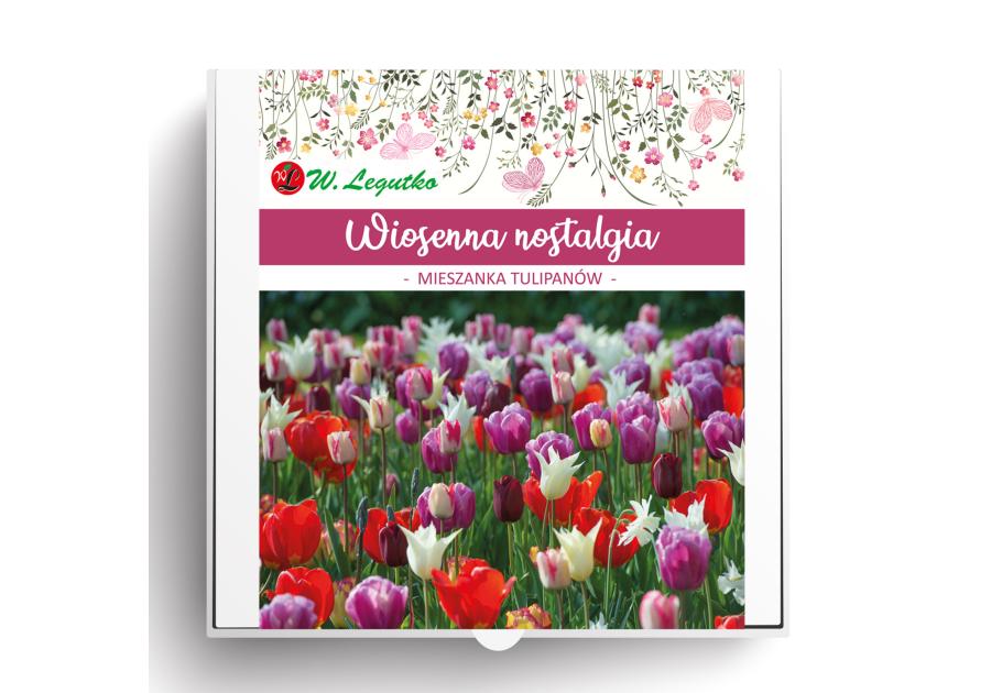 Zdjęcie: Kompozycja cebul kwiatowych Wiosenna nostalgia W.LEGUTKO