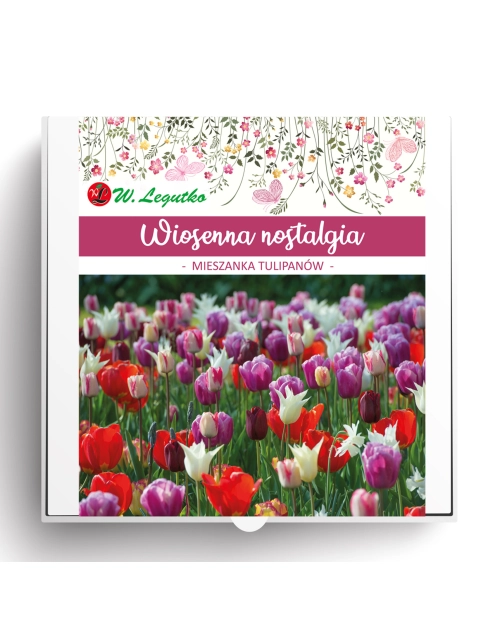 Zdjęcie: Kompozycja cebul kwiatowych Wiosenna nostalgia W.LEGUTKO