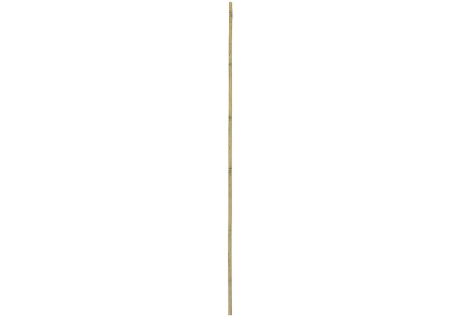 Zdjęcie: Tyczka bambusowa 180 cm, średnica 24-26 mm RN DYSTRYBUCJA