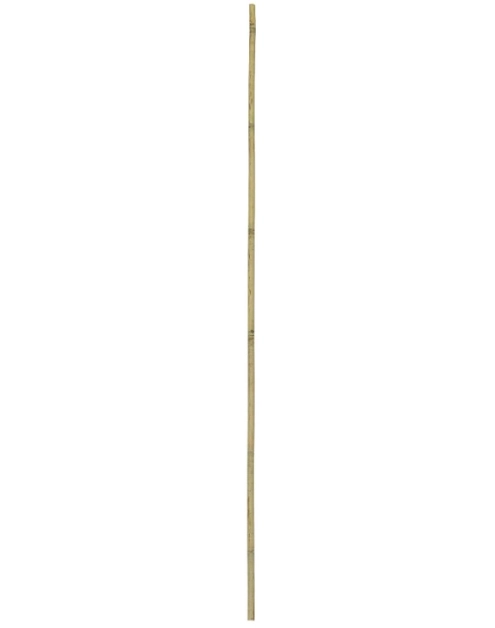 Zdjęcie: Tyczka bambusowa 180 cm, średnica 24-26 mm RN DYSTRYBUCJA