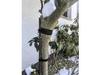 Zdjęcie: Taśma spinająca rzepowa 16 mm x 5 m STALCO PERFECT