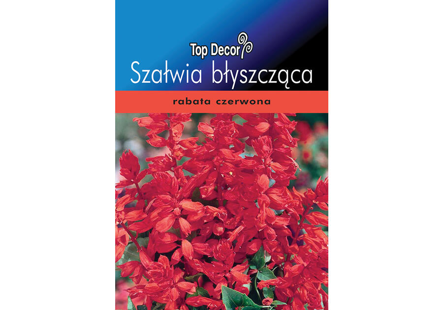 Zdjęcie: Szałwia błyszcząca TOP DECOR