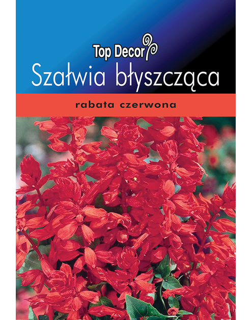 Zdjęcie: Szałwia błyszcząca TOP DECOR