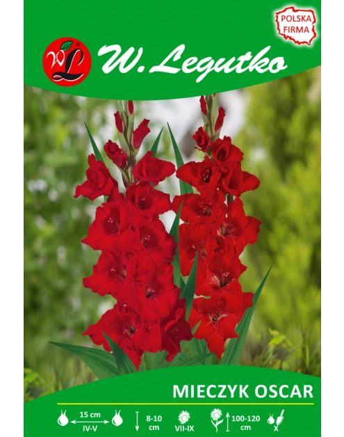 Zdjęcie: Mieczyk Oscar seria tradycyjna W.LEGUTKO