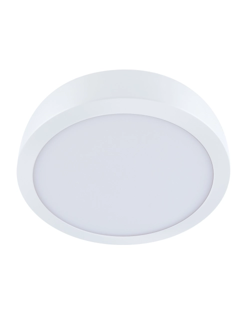 Zdjęcie: Oprawa sufitowa SMD Martin Led C 24W kolor biały STRUHM