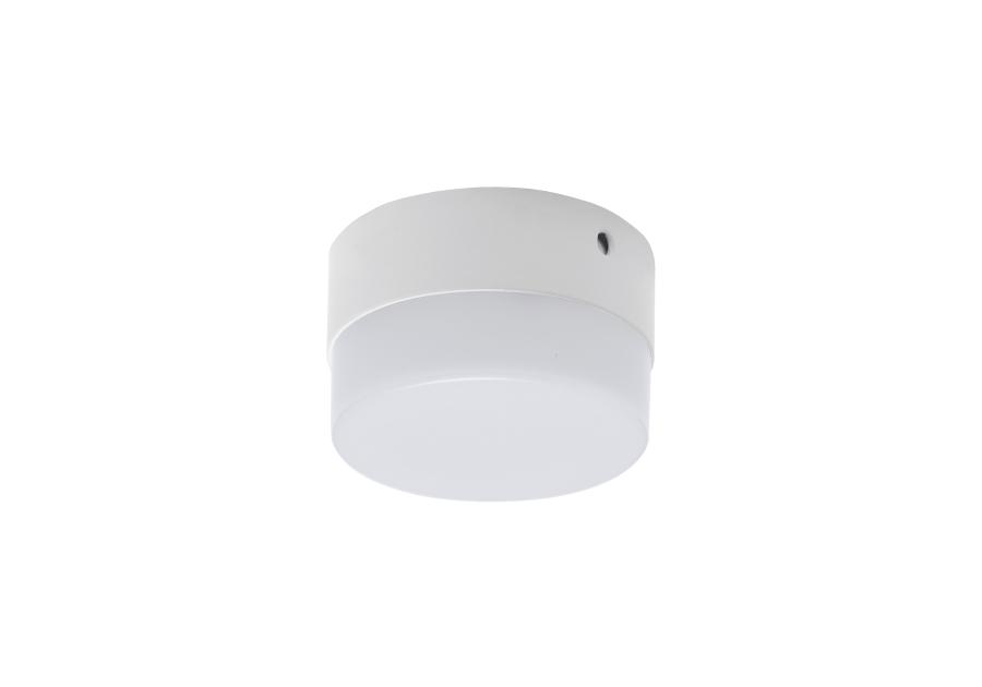 Zdjęcie: Oprawa sufitowa SMD Robin Led C 6W kolor biały STRUHM