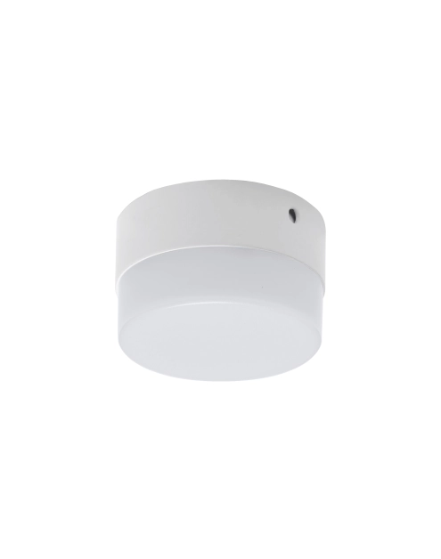 Zdjęcie: Oprawa sufitowa SMD Robin Led C 6W kolor biały STRUHM