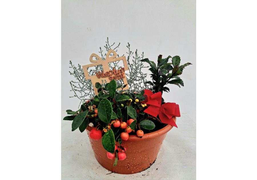 Zdjęcie: Misa dekoracyjna świąteczna 20 cm ŁAZUCCY