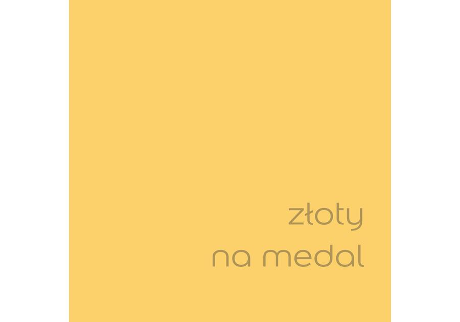 Zdjęcie: Tester farby EasyCare 0,03 L złoty na medal DULUX