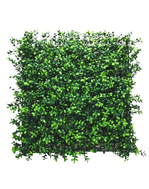 Zdjęcie: Panel zieleni Bukszpan 50 x 50 cm MIRPOL