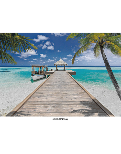 Zdjęcie: Fototapeta Beach Resort VENA