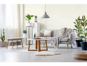 Farba lateksowa Moc Koloru kwiat wiśni 2,5 L DEKORAL