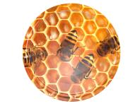 Zdjęcie: Zakrętka fi66/4 plaster miodu - 10 szt. 136353 BROWIN