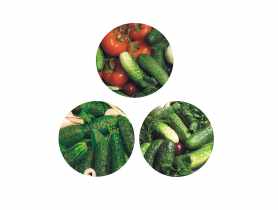 Komplet 10 zakrętek fi 66 4-zaczepowych dekoracja ogórek SEZON