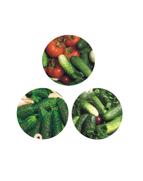 Zdjęcie: Komplet 10 zakrętek fi 66 4-zaczepowych dekoracja ogórek SEZON