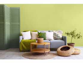 Farba lateksowa Moc Koloru groszkowy pastelowy 2,5 L DEKORAL