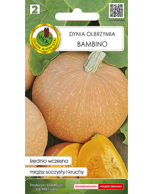 Zdjęcie: Dynia olbrzymia Bambino 2 g PNOS