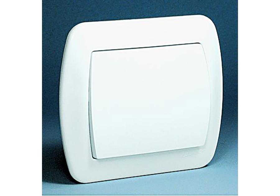 Zdjęcie: Włącznik pojedynczy AW1 biały ECOLINE