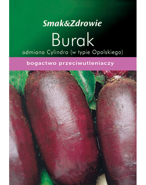 Zdjęcie: Burak ćwikłowy w typie Opolskiego cylindryczny SMAK&ZDROWIE