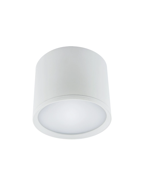 Zdjęcie: Oprawa sufitowa SMD Rolen Led 10W kolor biały STRUHM