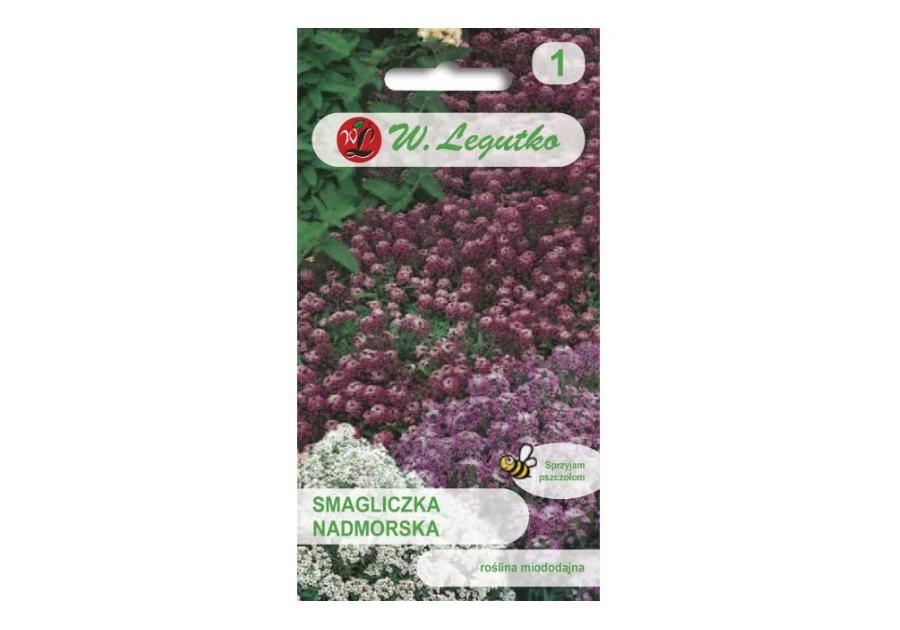 Zdjęcie: Smagliczka nadmorska mieszanka 0,5 g W.LEGUTKO