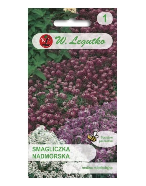 Zdjęcie: Smagliczka nadmorska mieszanka 0,5 g W.LEGUTKO
