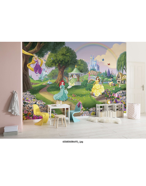 Zdjęcie: Fototapeta Disney Princess Rainbow VENA