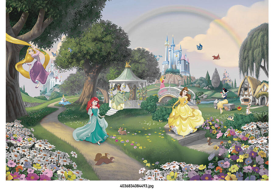 Zdjęcie: Fototapeta Disney Princess Rainbow VENA