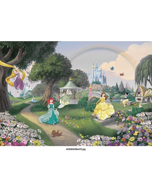 Zdjęcie: Fototapeta Disney Princess Rainbow VENA