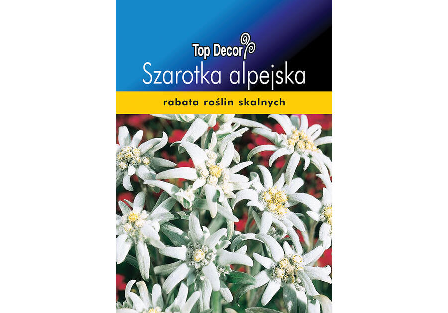 Zdjęcie: Szarotka alpejska TOP DECOR