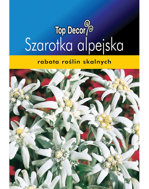 Zdjęcie: Szarotka alpejska TOP DECOR