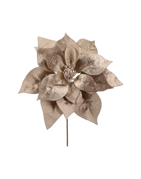 Zdjęcie: Gwiazda betlejemska pik 24 cm szampańska JUMI