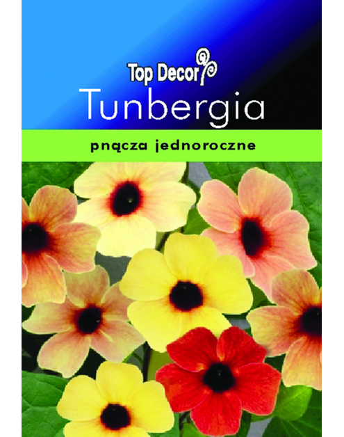 Zdjęcie: Tunbergia TOP DECOR