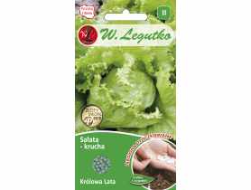 Sałata głowiasta krucha Królowa Lata nasiona otoczkowane 250 szt. W. LEGUTKO