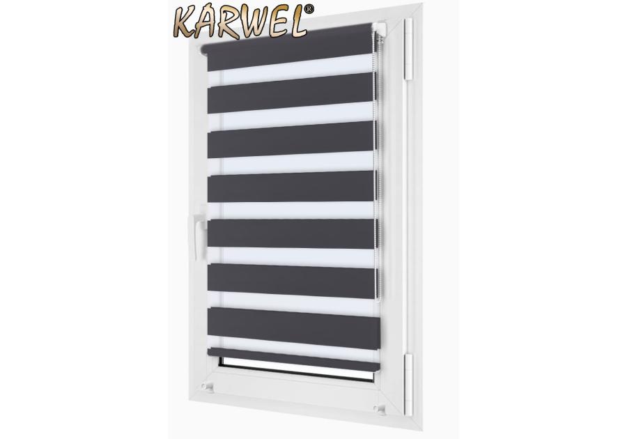 Zdjęcie: Roleta Mini 42x150 cm DNP6 KARWEL