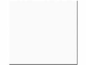 Gres nieszkliwiony TC White Polished 60x60 cm NETTO