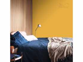 Tester farby Kolory Świata 0,03 L egzotyczne curry DULUX