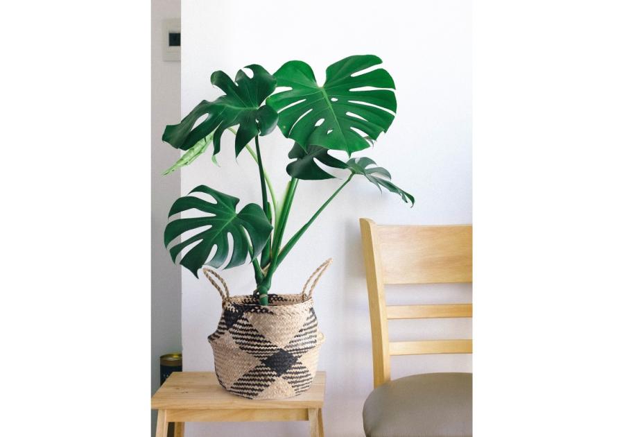 Zdjęcie: Koszyk z trawy morskiej 23x23x23/32 cm TIN TOURS