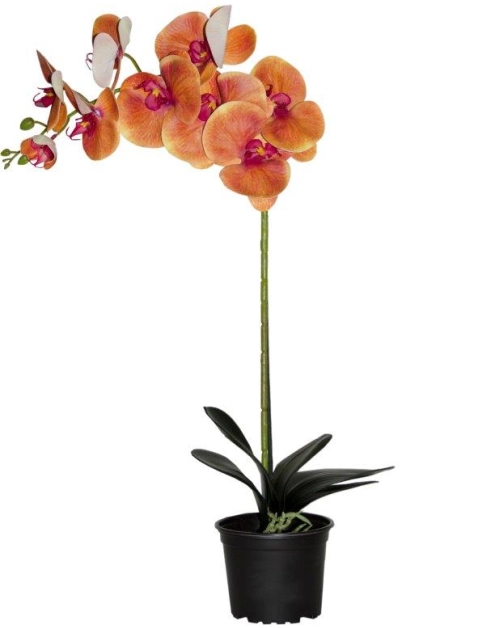 Zdjęcie: Storczyk sztuczny premium 9 kwiatów 80 cm TAJEMNICZY OGRÓD