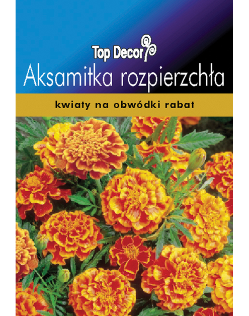 Zdjęcie: Aksamitka rozpierzchła TOP DECOR