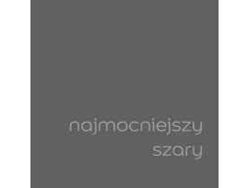 Tester farby EasyCare 0,03 L najmocniejszy szary DULUX