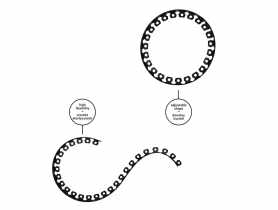 Obrzeże ogrodowe Easy Border Set 40 mm, czarne BRADAS