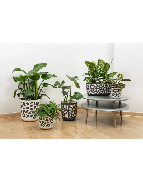 Zdjęcie: Doniczka Duet 19 cm LAMELA
