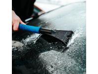 Zdjęcie: Szczotko-skrobaczka Premium CARDOS