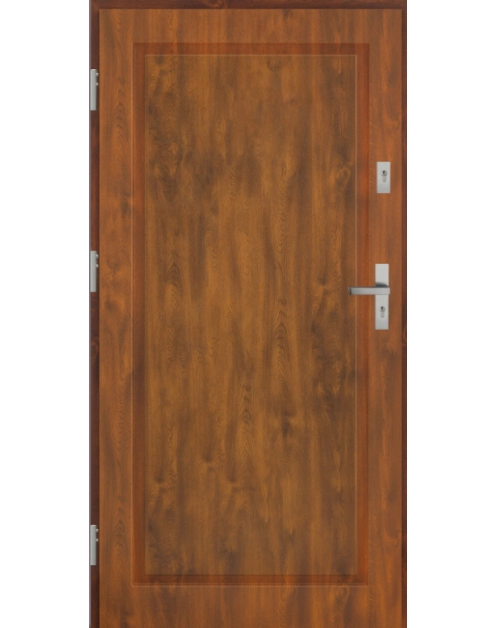 Zdjęcie: Drzwi zewnętrzne stalowo-drewniane Disting Mario 01 Dąb złoty 100 cm lewe KR CENTER