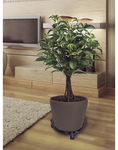 Zdjęcie: Podstawka metalowa na kółkach pod doniczkę Flora Roll, fi32 cm, czarny NORTENE