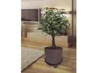 Zdjęcie: Podstawka metalowa na kółkach pod doniczkę Flora Roll, fi32 cm, czarny NORTENE