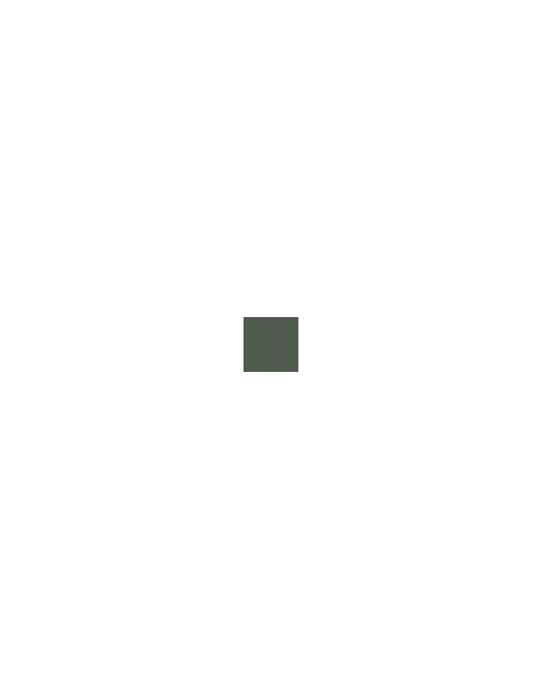 Zdjęcie: Farba na różne powierzchnie Direct Protect satyna zielony baskijski 0,75 L V33