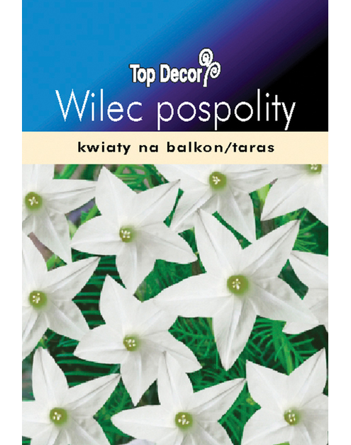 Zdjęcie: Wilec pospolity TOP DECOR